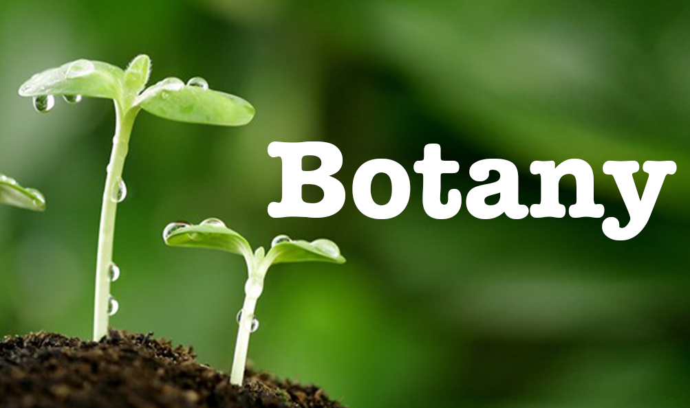 Master of Science (Botany)